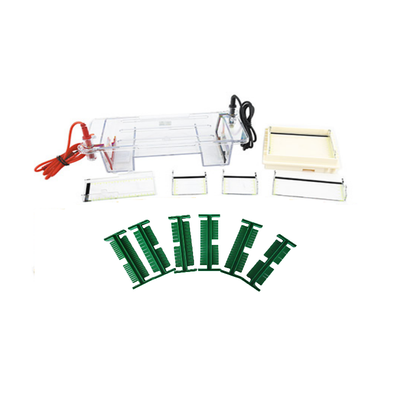 MIDI多用途水平電泳槽 EPT-HZ01